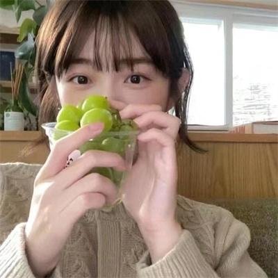 蜘蛛与郁金香